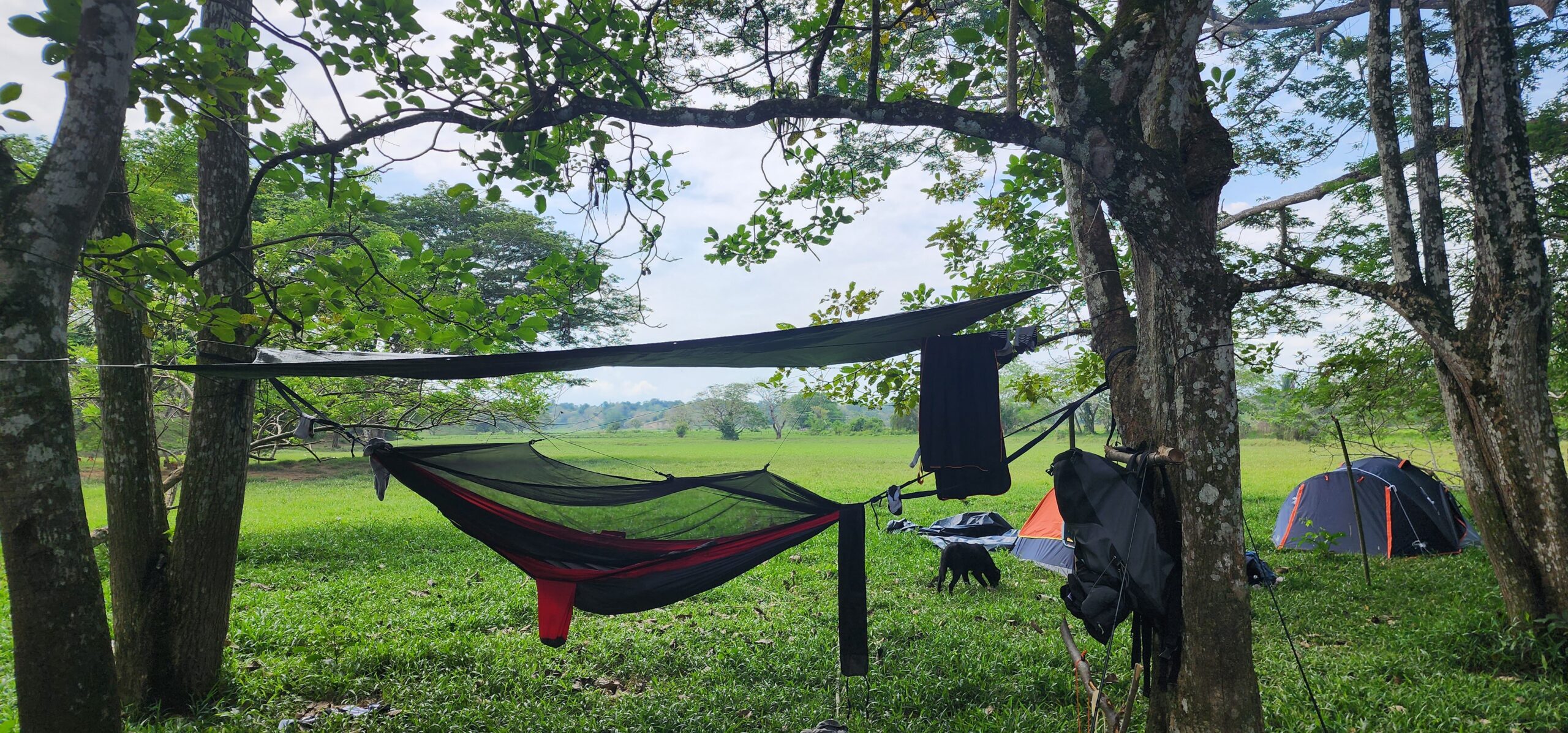 Elementos de un camping para pesca