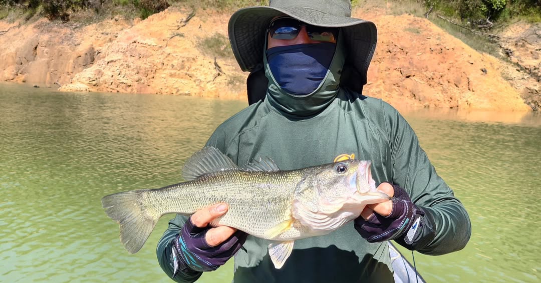 Peces en Colombia para pesca deportiva